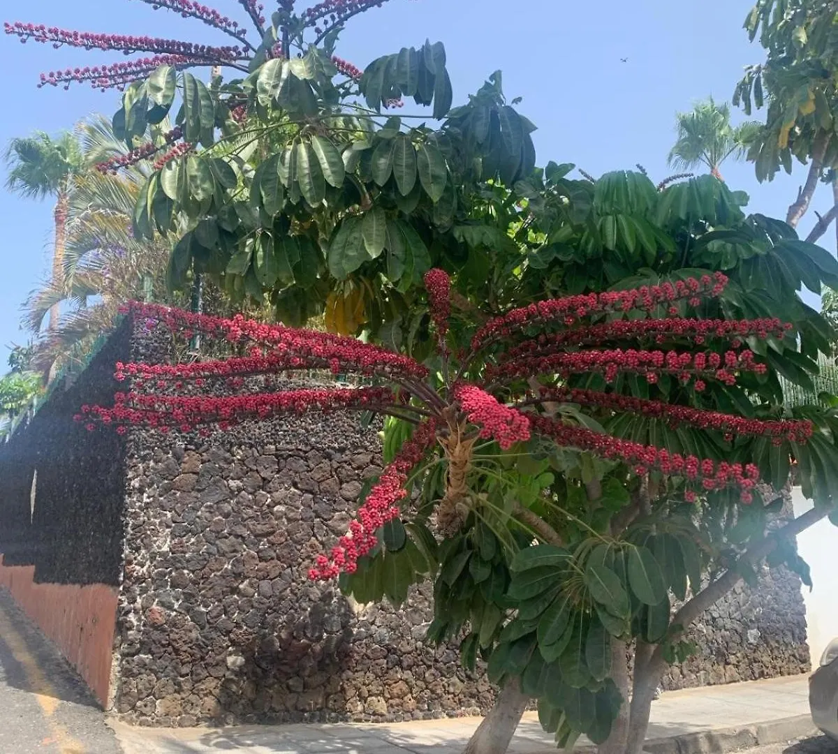 Casa Susanna Apartment Costa Del Silencio Spain